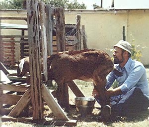 The author milks a goat.